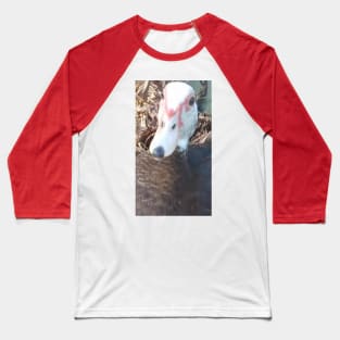 Duck Baseball T-Shirt